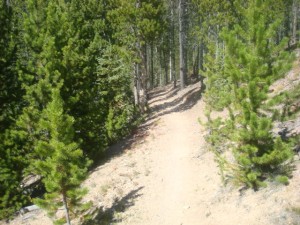 CO Trail, West Ridge Climb